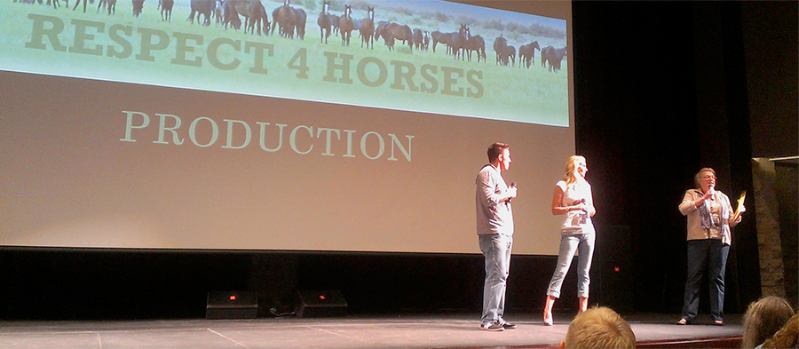 salt river wild horses