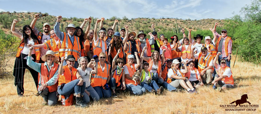Volunteer for Salt River Wild Horse Management Group