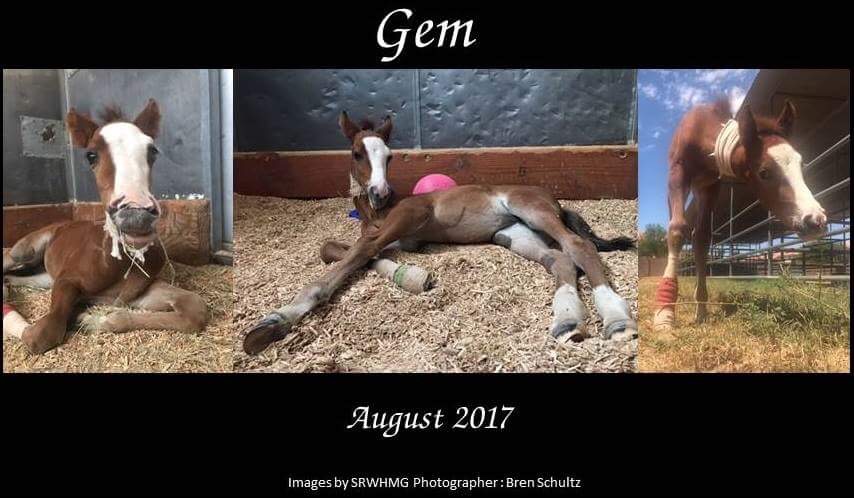 donate to help gem
