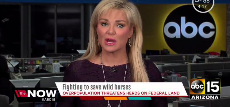 ABC Arizona: Fighting to Save Wild Horses ABC Arizona: Fighting to Save Wild Horses