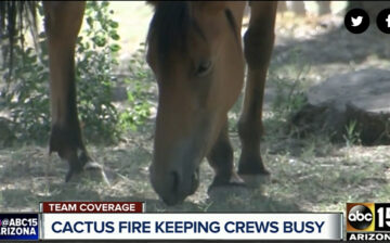 SRWHMG Volunteers Keep Eye on Horses During Fire