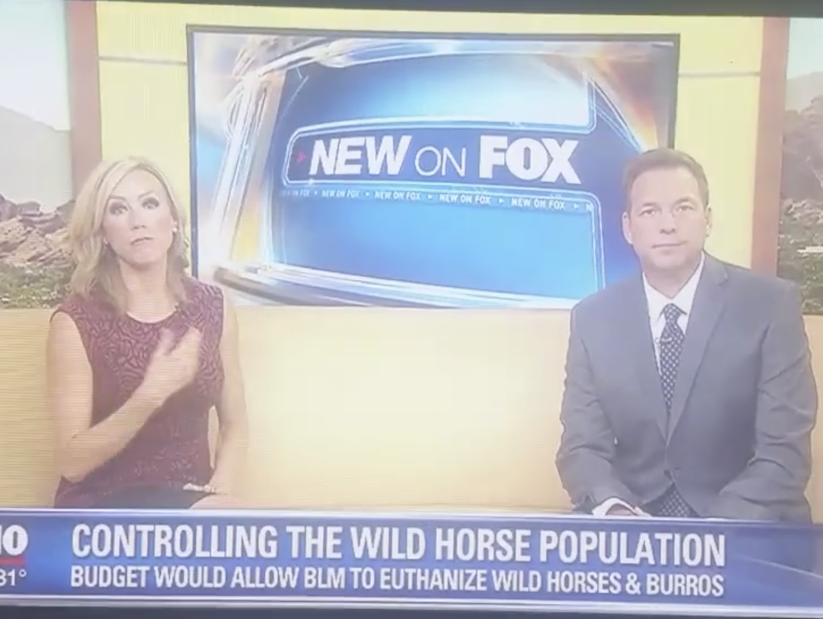 BREAKING NEWS:  President’s Budget proposes to murder wild horses.