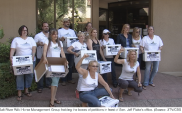 Advocates of wild horses deliver 300,000 signature petition to Sen. Flake