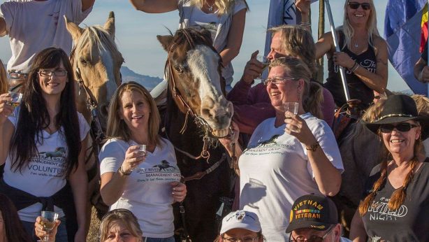 salt river wild horse management group victory