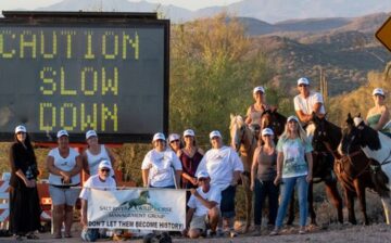 Deaths of Salt River horses along Bush Highway lead to new safety measures