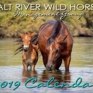 2019 Salt River Wild Horse Calendar