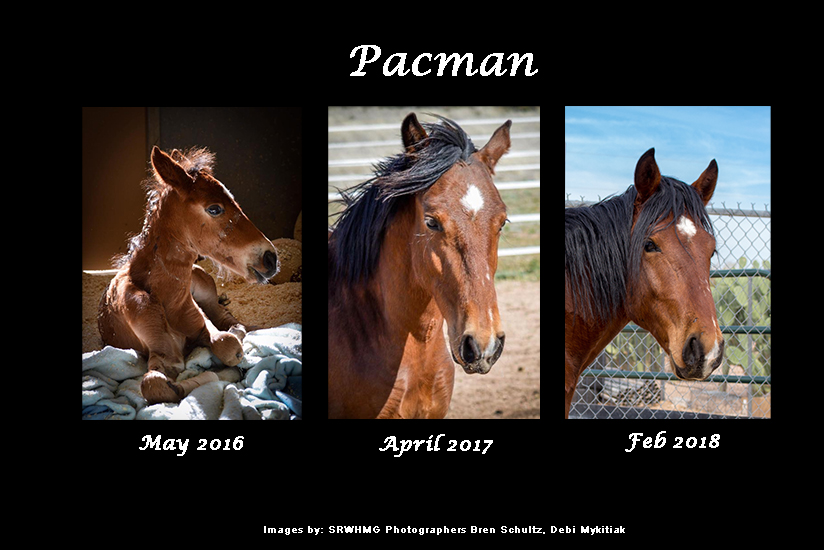 Pacman-2-1.jpg