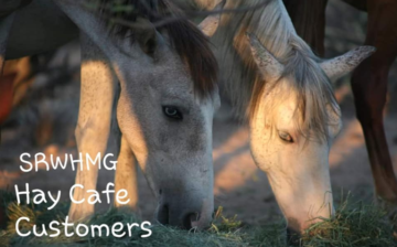 We Are Looking For Investors – Hay Cafe Franchise!