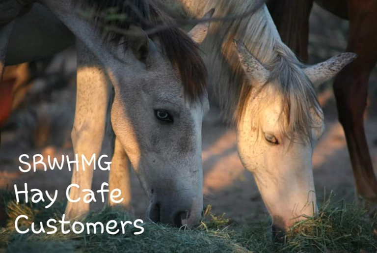 We Are Looking For Investors – Hay Cafe Franchise!