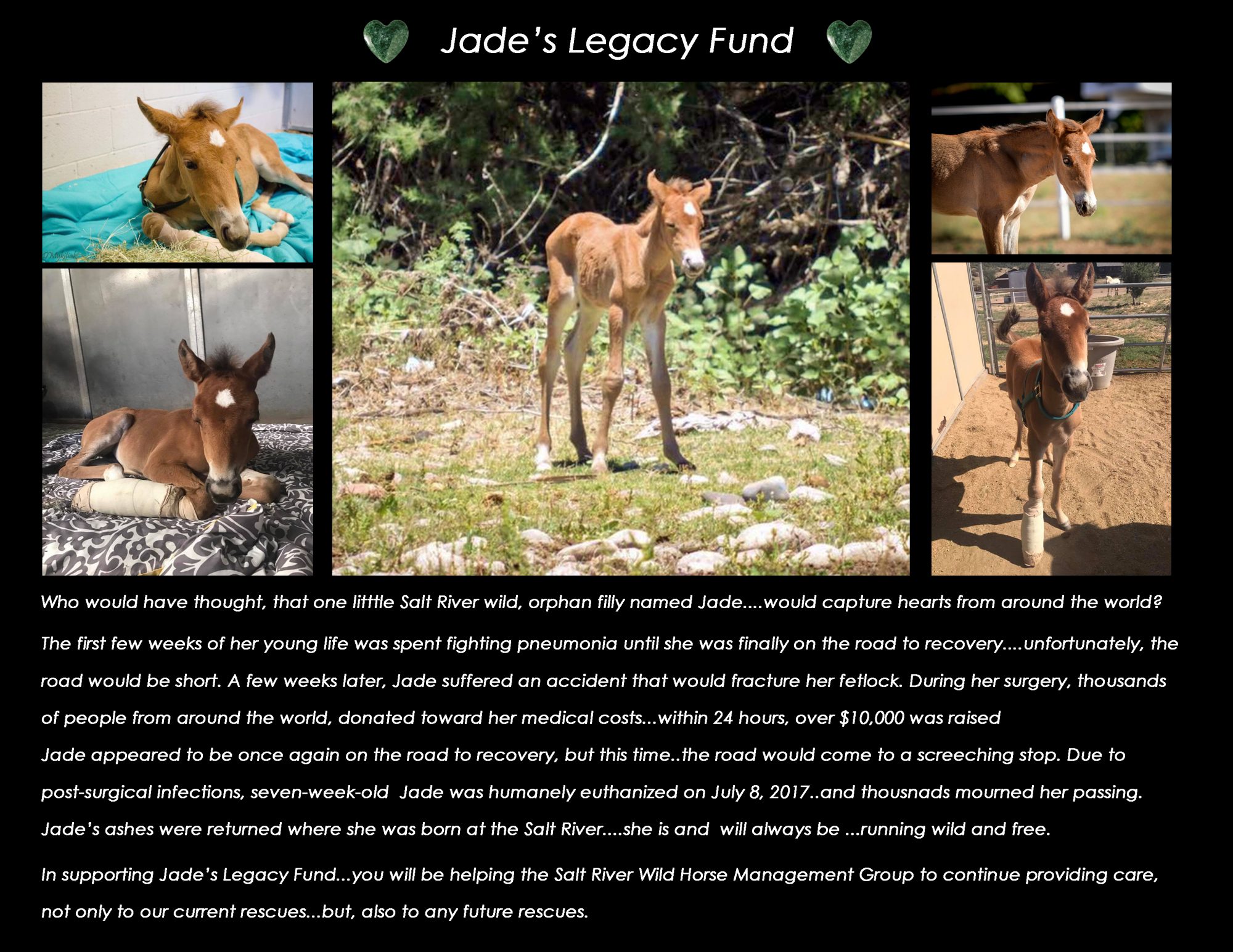 jades legacy fund