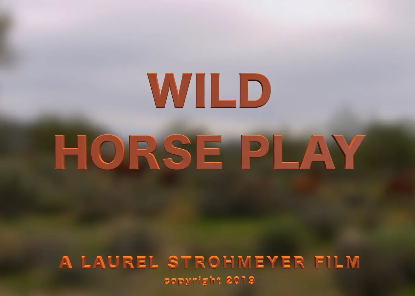 wild horseplay video
