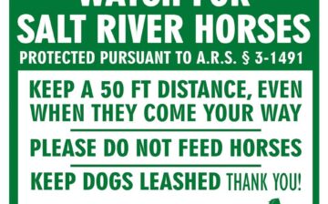 Fundraiser to Protect the Horses