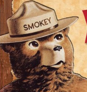 Tonto National Forest Fire Restrictions Active Jun 14 2019 Aug 30   Smokey Avi 