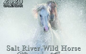In Stock: 2020 Salt River Wild Horse Calendar