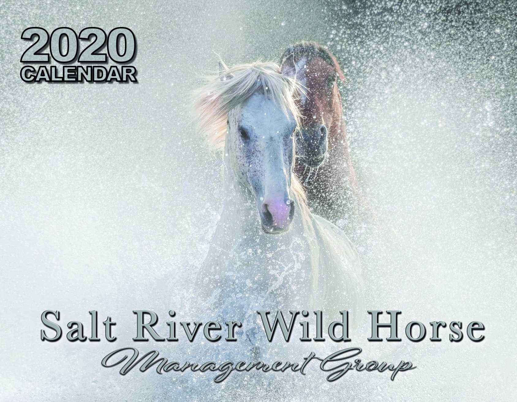 In Stock: 2020 Salt River Wild Horse Calendar