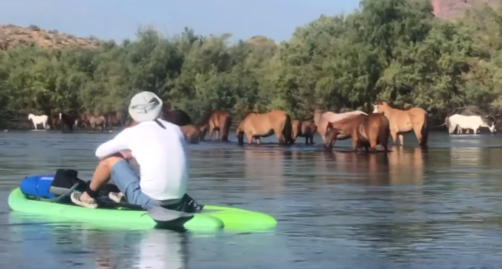 Paddling with the ponies!