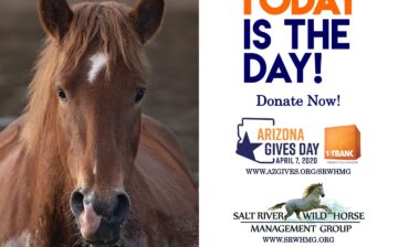 Today, this April 7th, is Arizona Gives day!