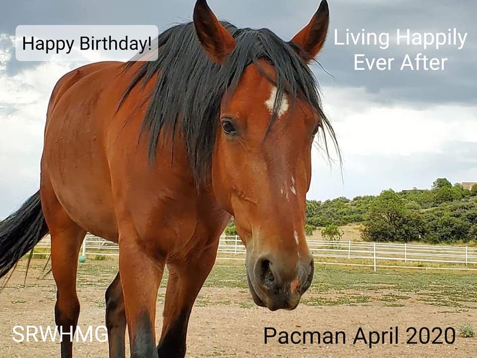 Happy 4th Birthday, Pacman!