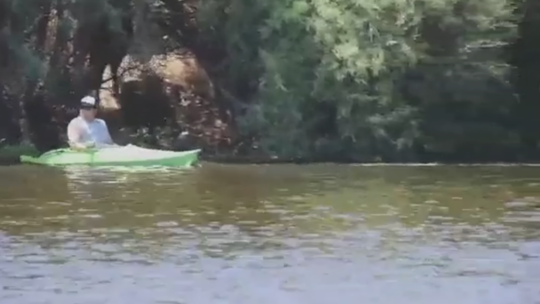 Advocates call for more enforcement after video shows man kayaking at Salt River horses
