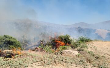 Forest Fire Contained @ Tonto National Forest
