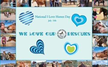 July 15th: I Love Horses Day!
