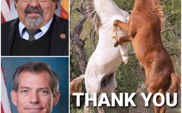 Thank you, Arizona lawmakers!