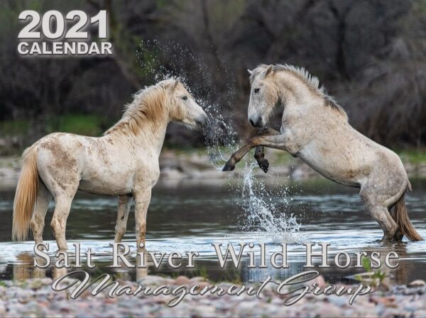 Salt River Wild Horse Management Group Calendar 2021