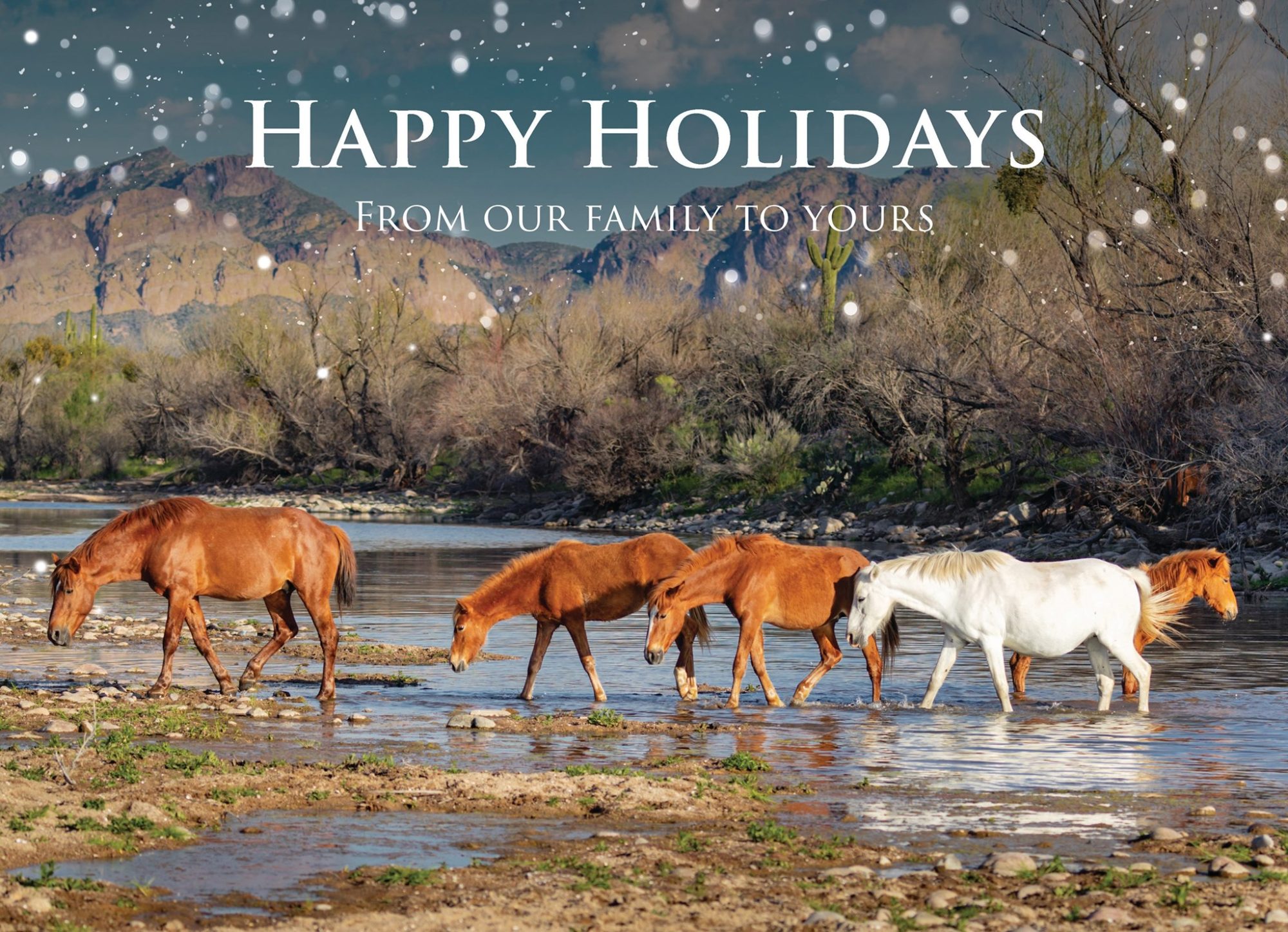 Happy Holidays – From our family to yours!