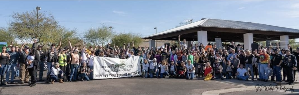 Last year, hundreds of people came together for the ride for the Salt River wild horses.