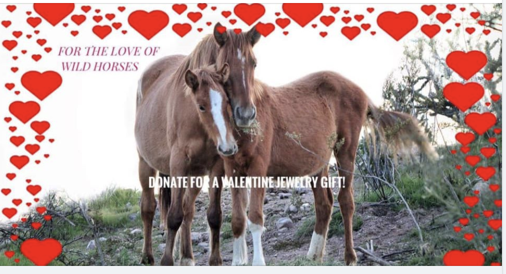 Donate today💕 and recieve a lovely piece of wild horse jewelry from our collection! 🎁