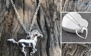 These are some examples of the cool horse jewelry that you’ll receive if you donate to this Valentine’s day fundraiser.