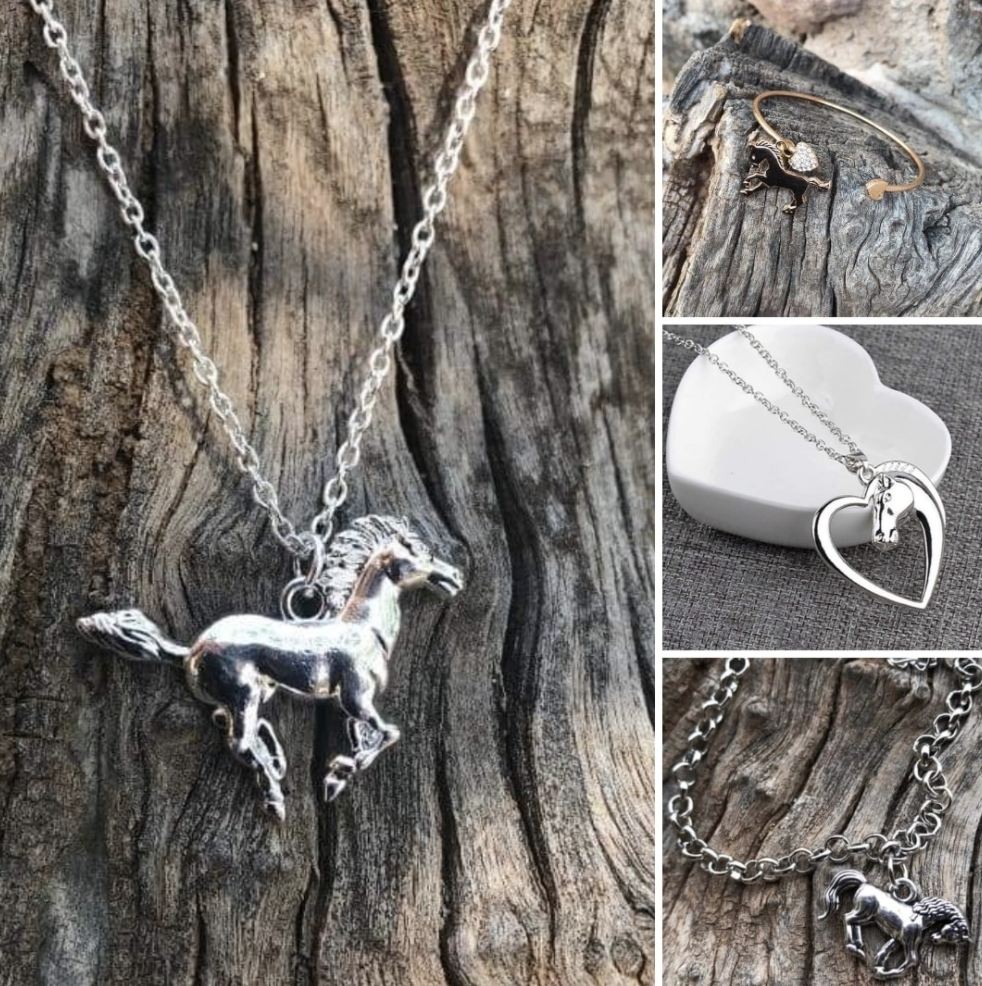 These are some examples of the cool horse jewelry that you’ll receive if you donate to this Valentine’s day fundraiser.