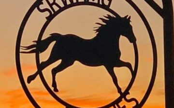 SRWHMG protects the Salt River wild horses, but now need protection ourselves.