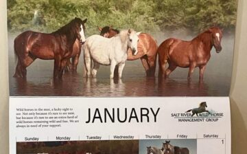 Thank you for purchasing our wildly popular Calendar!