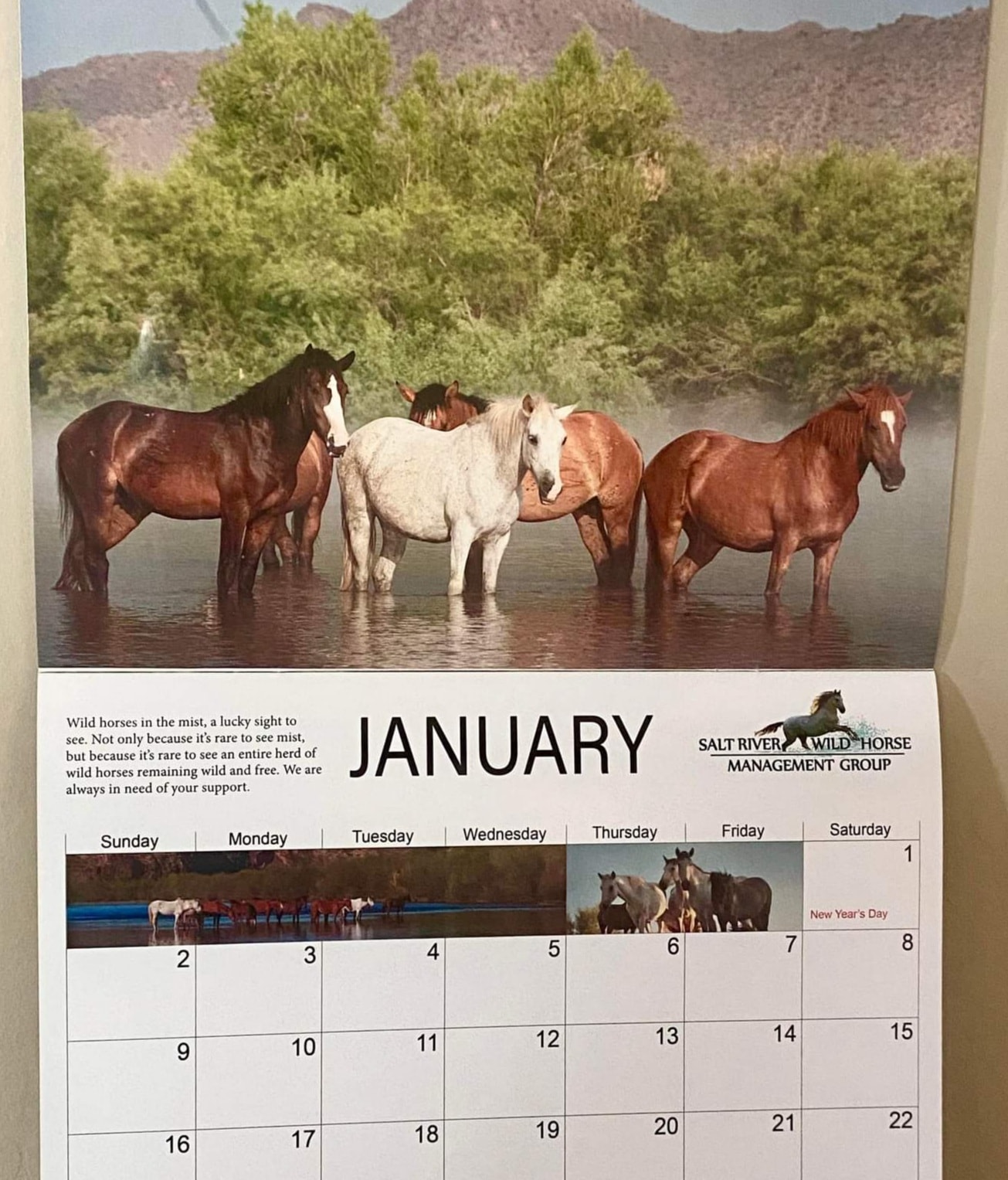 Thank you for purchasing our wildly popular Calendar!