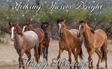 Make Spirits Bright – Happy Holidays!