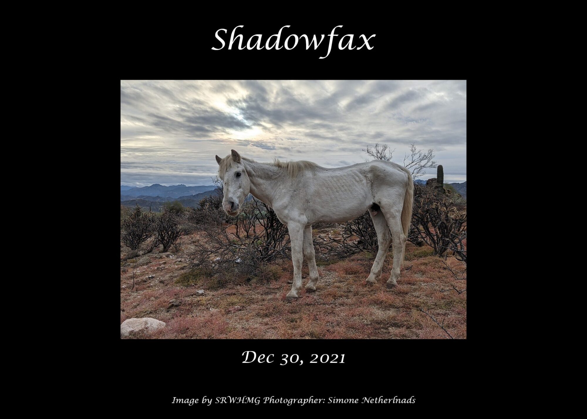 ShadowFax