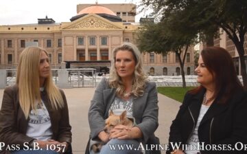 [Video] Support S.B. 1057! Prohibits killing, shooting and slaughtering any horse in the Alpine herd.