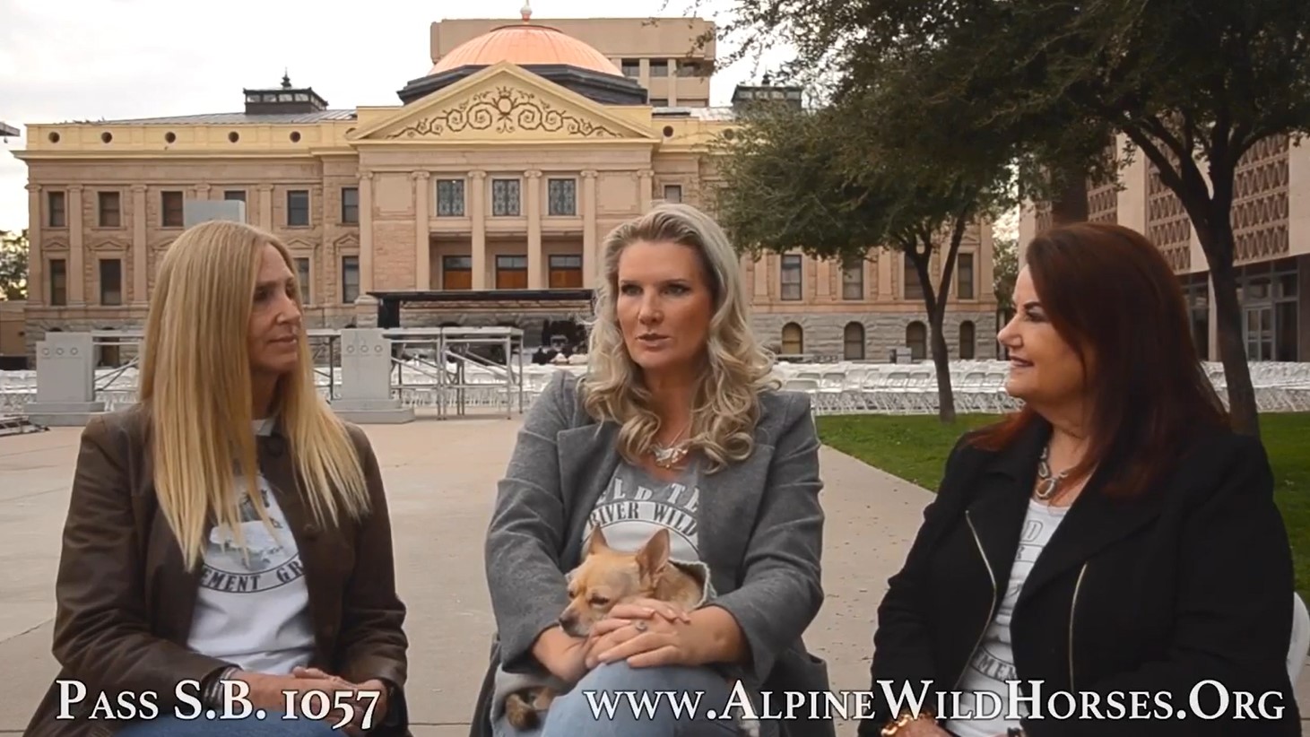 [Video] Support S.B. 1057! Prohibits killing, shooting and slaughtering any horse in the Alpine herd.