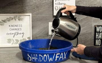 Shadowfax’s SUPER bowl 🥣