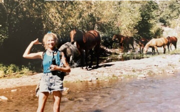 Why are the Salt River wild horses not scared of humans?