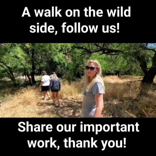 Take a walk on the wild side- follow us on Facebook!