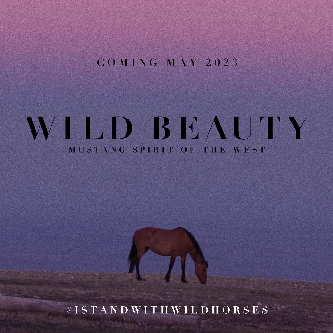 WILD BEAUTY: Mustang Spirit of the West now available!