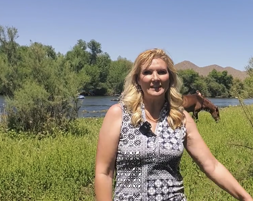 Is it the 314 Salt River wild horses, or 8 million visitors?
