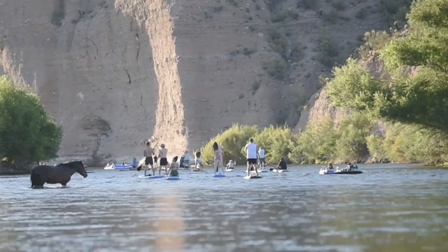 Just another beautiful day on the Salt River!