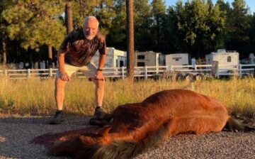 Northeast Valley News:  “Smiling next to a dead horse, these people hate wild horses, they hate them”— says Salt River Wild Horse protection director against group filing lawsuit over herd