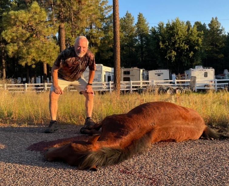 Northeast Valley News:  “Smiling next to a dead horse, these people hate wild horses, they hate them”— says Salt River Wild Horse protection director against group filing lawsuit over herd