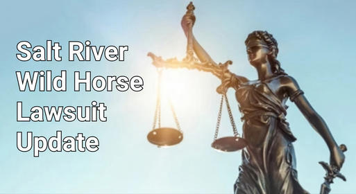 Salt River Wild Horse Lawsuit Update