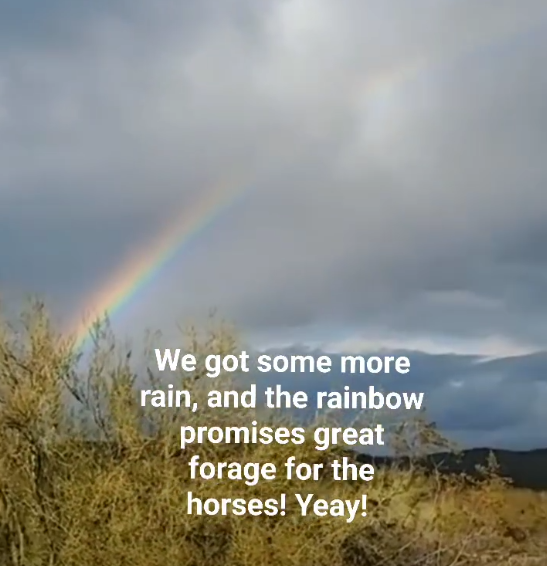 A rainbow promises great forage for the horses!