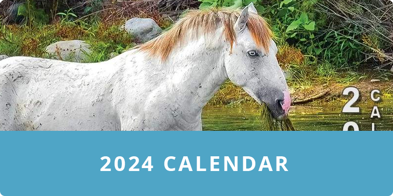 Purchase a 2024 Calendar